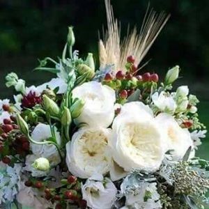 Meet your Posher, Fay